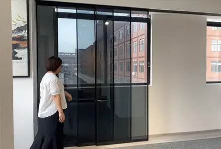 Sliding Door