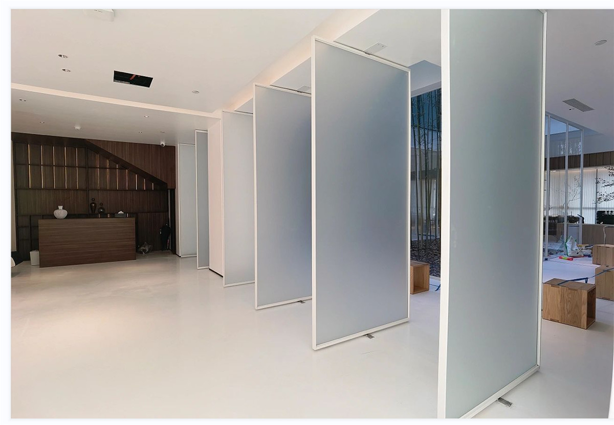 Exploring the World of Pivot Doors A Modern Design Trend-02 (8)