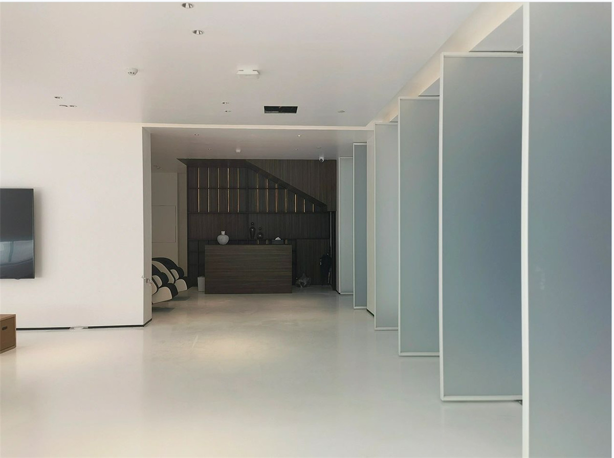 Exploring the World of Pivot Doors A Modern Design Trend-02 (7)